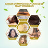 HueRenew™ Handmade Ginger Hair Regrowth Shampoo Bar - flowerence