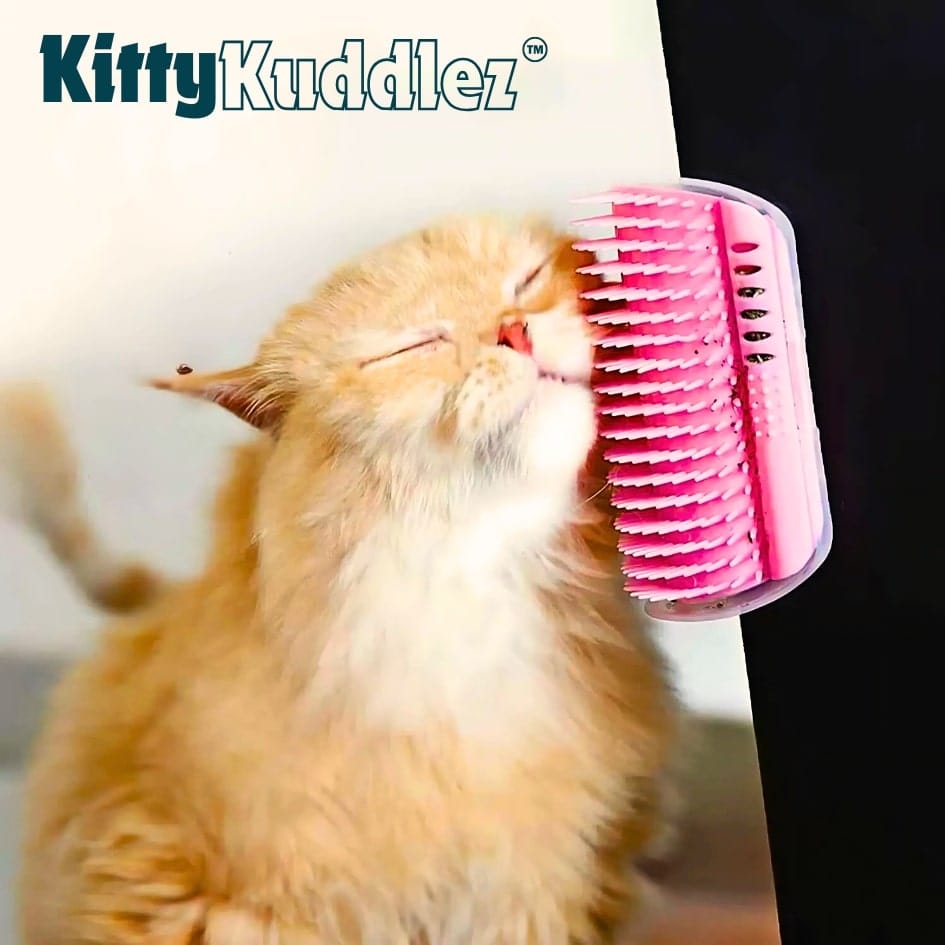 Kitty Kuddlez™ Pet Corner Brush