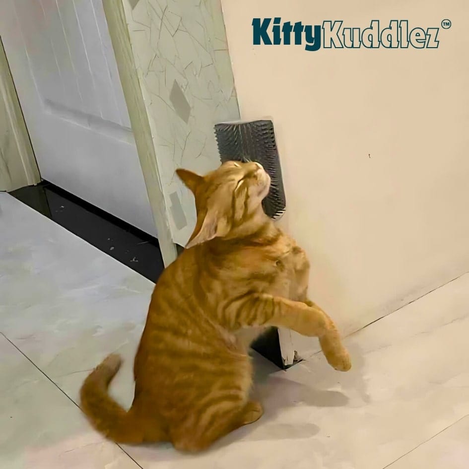 Kitty Kuddlez™ Pet Corner Brush