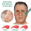 Load image into Gallery viewer, GFOUK™ DoubleDuo EMS Face Sculptor - flowerence