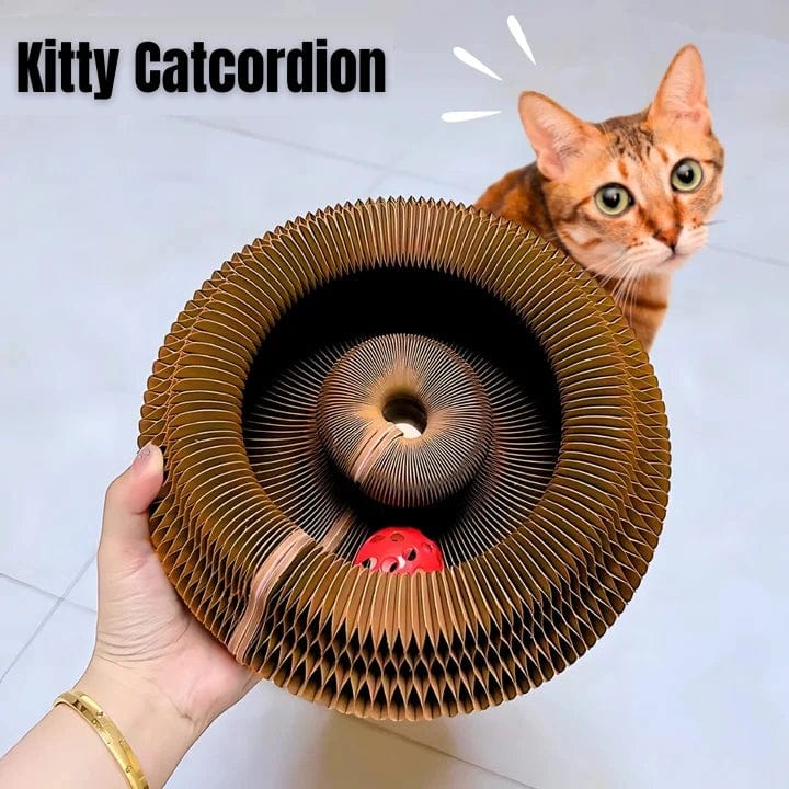 Kitty Kurlz™ Catcordion