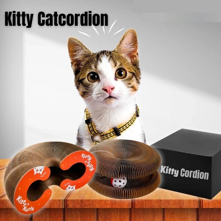 Kitty Kurlz™ Catcordion