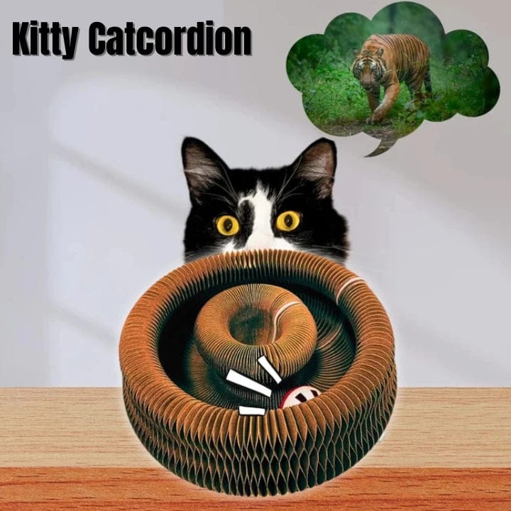 Kitty Kurlz™ Catcordion