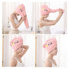 Load image into Gallery viewer, Quick Drying Hair Towel - flowerence