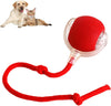 Smart Chase Pet Toy Ball