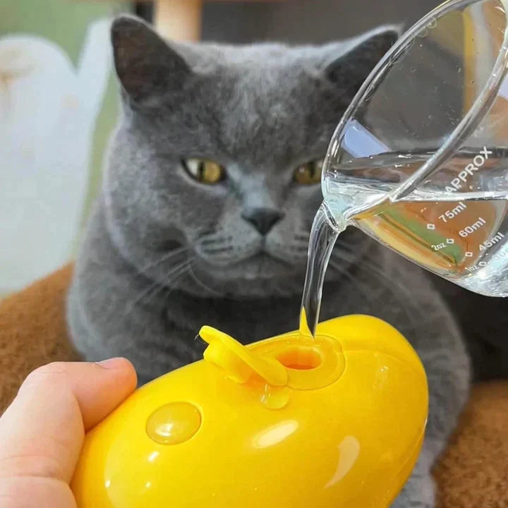 🐱Hot Sale🐱 Mango Shaped Steamy Cat Brush 🐱