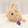 Easter Bunny🐰 Interactive Toy