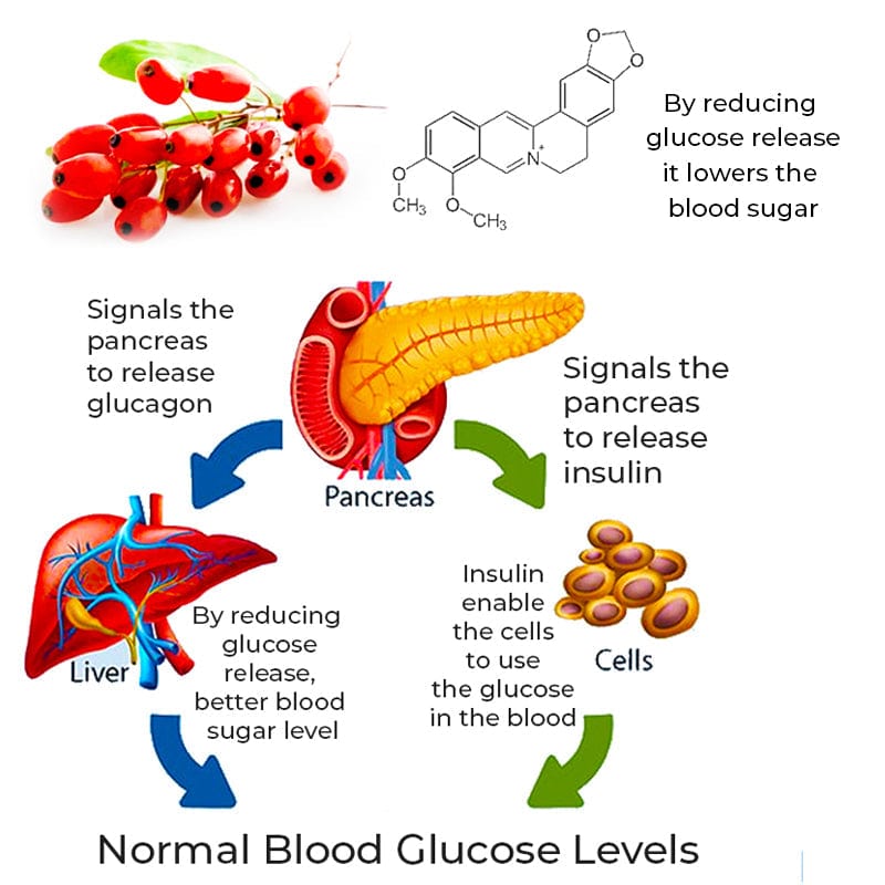 GFOUK ™SugarSync Health Control Aerosolizer - flowerence